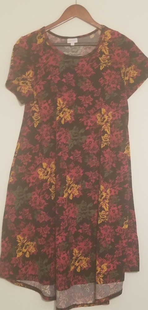 LuLaRoe Carley high low dress SZ Small